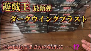 【遊戯王】最新弾ダークウィングブラスト12BOX開封してみたら、、、　　　　　　#ダークウィングブラスト＃開封