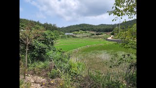 [부동산백화점]726.영암 학산면 논매매 대로변인데 가격도 저렴하네요~영암학산면토지매매 영암학산면땅매매 영암논매매 영암토지매매 영암땅매매 영암농지매매 영암부동산 영암군논매매