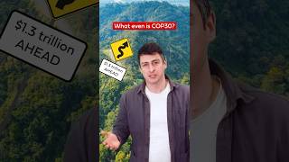 What is COP30?