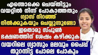 എന്തൊക്കെ ചെയ്തിട്ടും ഗ്യാസ് മാറുന്നില്ലെങ്കിൽ ഭക്ഷണത്തിന് ശേഷം ഇതൊന്നു കഴിച്ചു നോക്കൂ.!Gas Trouble