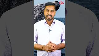 திமிங்கலம் மனிதனை சாப்பிட்டால் என்ன ஆகும் தெரியுமா ? 😂🦈 | Learn With QC #whale #sea #shorts