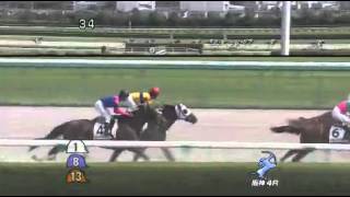 2014年 2歳新馬 / ウェディングラン