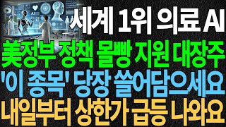 [의료AI 대장주] 세계 1위 의료 AI 美 정부 정책 몰빵 지원 대장주 '이 종목' 당장 쓸어 담으세요 내일부터 상한가 급등 나와요 AI대장주 AI관련주 디에스경제뉴스 또바기