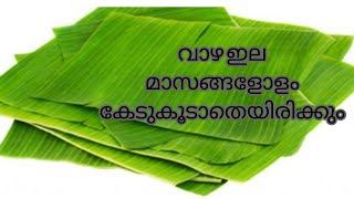 വാഴ ഇല ഇനി മാസങ്ങളോളം ഫ്രഷ് ആയി സൂക്ഷിക്കാം /How to keep banana leaves fresh for long