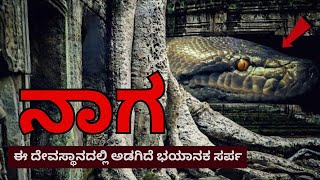 ಕುಕ್ಕೆ ಸುಬ್ರಹ್ಮಣ್ಯದಲ್ಲಿ ಅಡಗಿದೆ ಒಂದು ನಿಗೂಢ ಸರ್ಪ ..! Kukke Subramanya Secrets | Sarpa Dosha | Snake