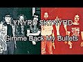 LYNYRD SKYNYRD - Gimme Back My Bullets (Lyric Video)