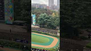 東京競馬場🏇☔️パドック景色✨