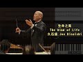 生命之風 The Wind of Life, 久石讓 Joe Hisaishi (Piano Tutorial) Synthesia 琴譜 Sheet Music