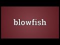 Blowfish Meaning