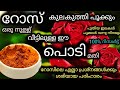 ഒരു നുള്ള് മഞ്ഞൾപ്പൊടി മതി റോസ് പൂത്തുലയും|Rose plant complete care in malayalam|Rose growing tips