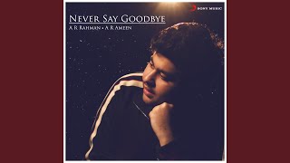 Never Say Goodbye (From "Dil Bechara")