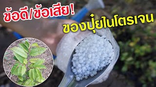 ข้อดี/ข้อเสีย! ของการใช้ปุ๋ยสูตรไนโตรเจน