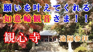 【観心寺参拝】ご利益は智慧・財宝・福徳！思いのままに願いを叶えてくれる如意輪観音さま！！