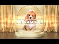 [GoSelly]What is ARGAN OIL?🌳