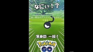 野生のアンノーン？マーク出現！ ポケモンGO激レアを捕獲！？ まさかのハプニングに失笑w　#PokémonGO #Unown