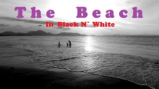 The Beach In Black N` White