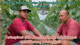 Petani Muda, Petani Pemula Melon Tanam Rock Melon//Mandiaz Chanel