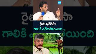 #YSjagan Fires on #ChandrababuGovt Over #RythuBharosa #APFarmers #Shorts #YTShorts #Sakshitv