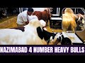 Nazimabad 4 Number Ke Heavy Bulls | Mandi Ke Shoqeen.