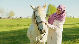 Horse SOO Cute! Beautiful And funny horse Videos Compilation cute momentS in wildlife.