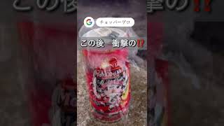 巨大⁈海王類現るる【ワンピースゲロ】