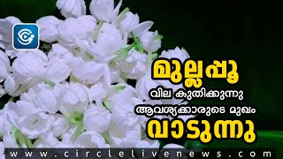 ഫ്ലവറല്ല, ഫയർ...! ഒരു കിലോ മുല്ലപ്പൂ വില 4,000; ആവശ്യക്കാരുടെ മുഖം വാടുന്നു