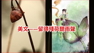 美文——留得殘荷聽雨聲