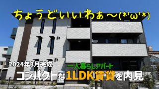 一人暮らしにピッタリの1LDK賃貸アパートを内見🤗2024年3月新築の賃貸物件は松山市の環状線内側の好立地✨ルームツアーｗithみきゃん