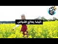 خمسة حقائق نفسية من القرآن و السُنّة الجزء الأول