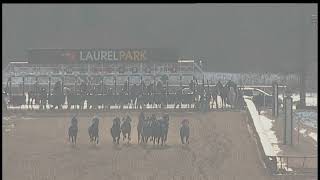 LAUREL PARK 1 24 2025 RACE 8