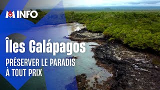 🏝️ À la découverte de l'archipel des Galápagos