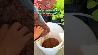 Cocopeat Media tanam: Bebaskan Cocopeat dari Zat Tanin untuk Pertumbuhan Tanaman Optimal!