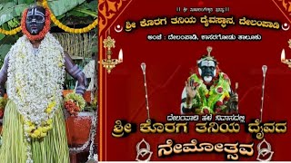 ||ದೇಲಂಪಾಡಿ ಶ್ರೀ ಕೊರಗ ತನಿಯ ದೈವದ ನೇಮೋತ್ಸವ||🙏🏻