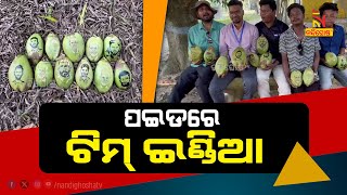 ପଇଡରେ ଭାରତୀୟ ଖେଳାଳିଙ୍କ ଛବି ..| NandighoshaTv