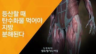 등산할 때 탄수화물 먹어야 지방 분해된다 - (2011.7.16_379회 방송)_내 몸을 살리는 똑똑한 등산