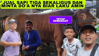 DADAKAN JUAL SAPI TIGA SEKALIGUS DAN MINTA DO'A BIYAR LAKU AMIN🤲