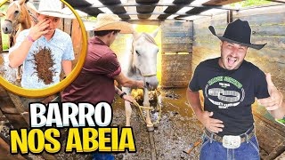 OS CAVALO LAMBUZOU O MOREALE DE BARRO NA HORA DA CAVALGADA ! KKK