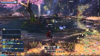 なんとなく　Blade＆Soul　中国鯖OPβ潜入