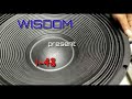 Wisdom Woofer W450-48 #wisdom #woofer