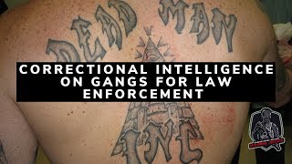 Correctional Intelligence on Gangs for Law Enforcement | Corrections Officer Training
