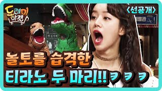 [선공개] 놀토를 습격한 티라노 사우르스 두 마리!! | 놀라운 토요일 2부 - 도레미 마켓 amazingsaturday 190810 EP.71