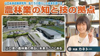 山口県広報誌「ふれあい山口(令和5年6月号)」特集動画【テーマ：農林業の知と技の拠点が完成】ロング版