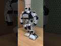 yanshee humanoid robot demo