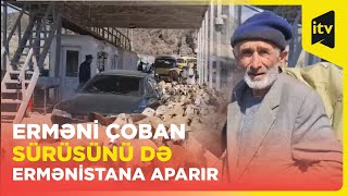 Erməni çoban qoyun-quzunu da özü ilə Ermənistana aparır