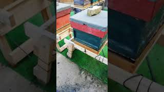 Beehive heating system