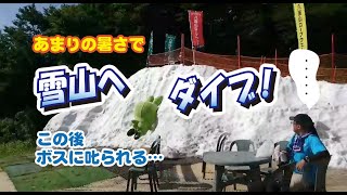 ササダンゴン、雪山へダイブ