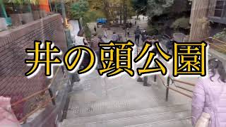 井の頭公園（吉祥寺から井の頭公園駅まで）散歩