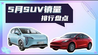 前三不见燃油车，新能源遍地开花，5月SUV销量排行盘点