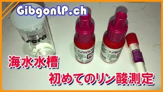 【海水水槽】初のリン酸塩測定！果たして結果は！？