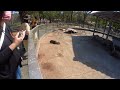 頑皮世界野生動物園